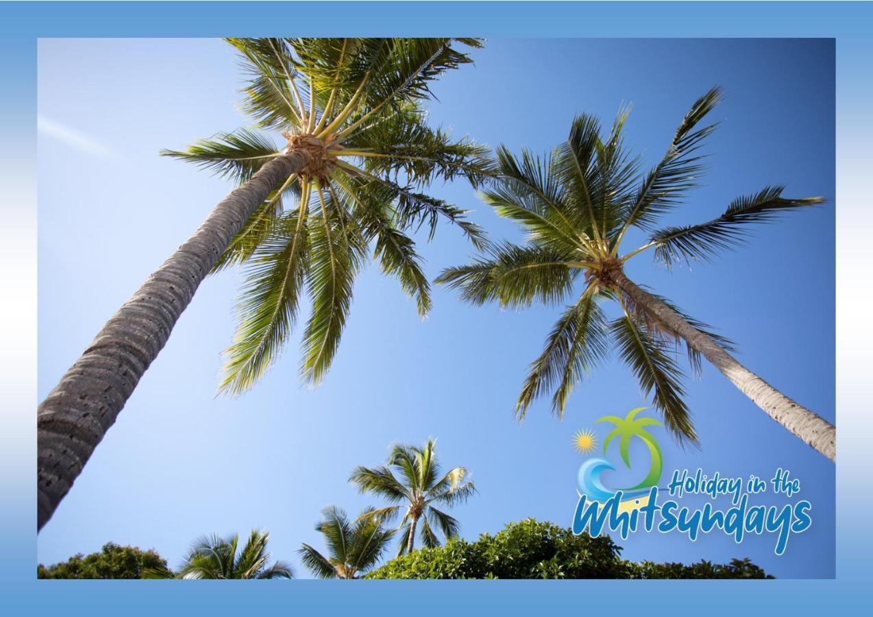 Ocean Views 16 Pool & Spa Wi-Fi 埃尔利海滩 外观 照片